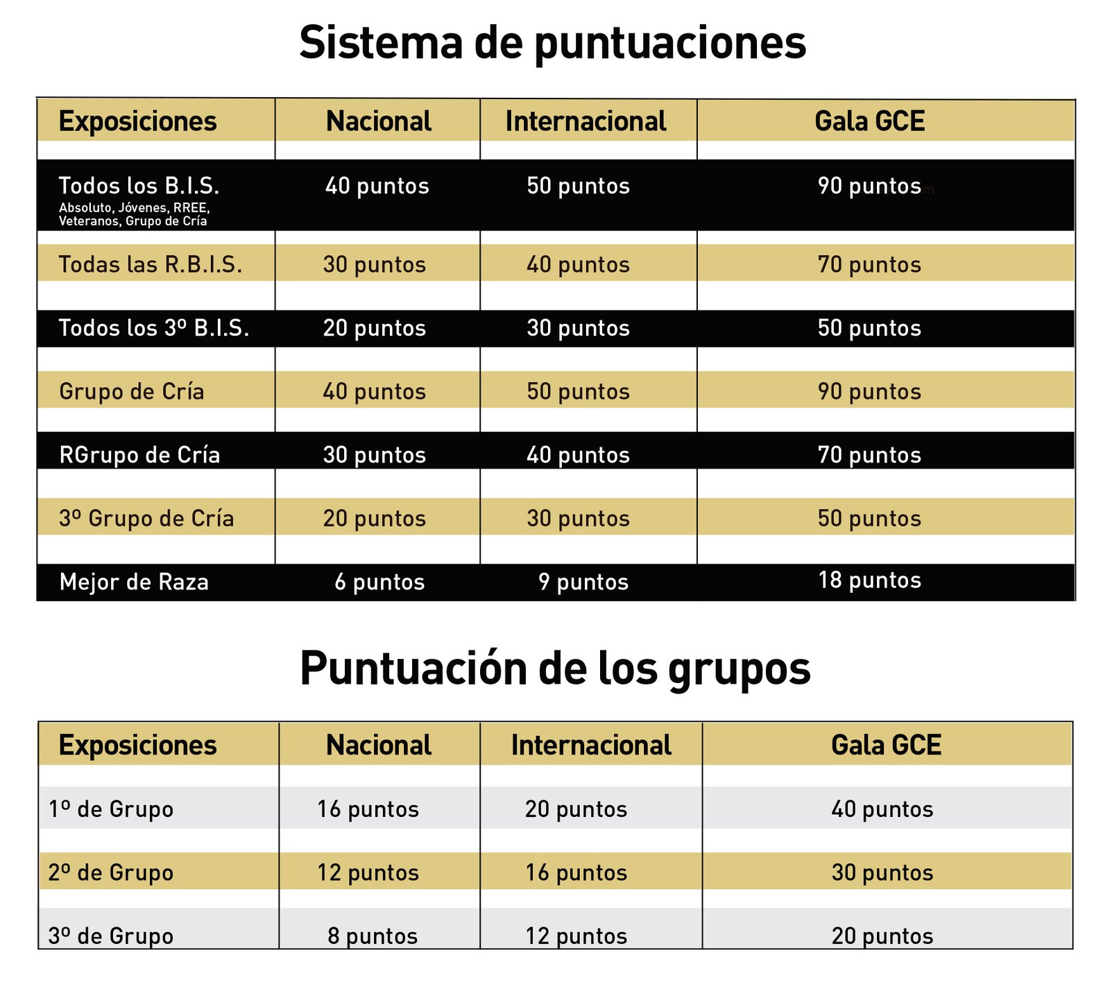 Sistema de Puntuaciones 2026