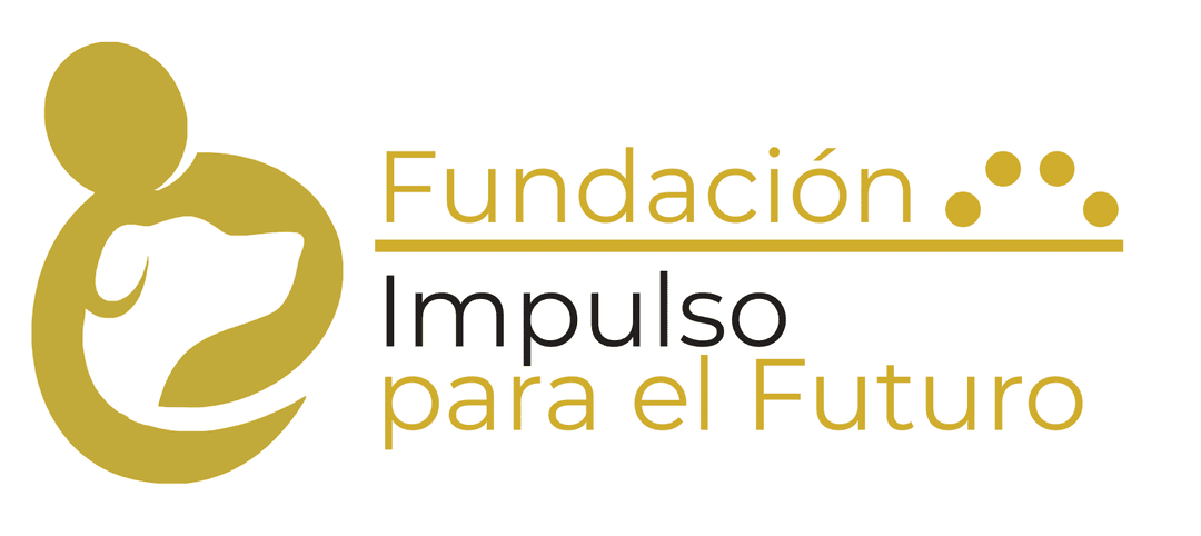 Fundacion Impulso